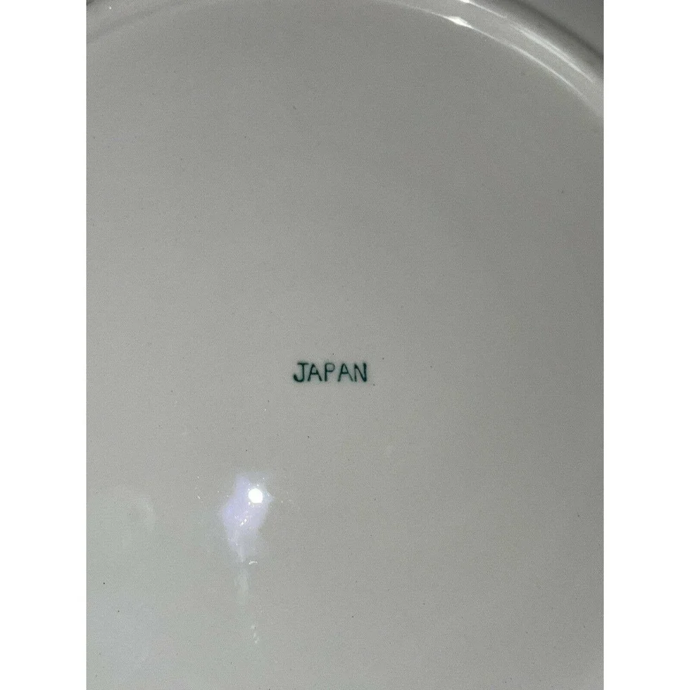 Hand Painted Ironstone Ware 10.5” Plate Serving Plate Made in JAPAN Fruit